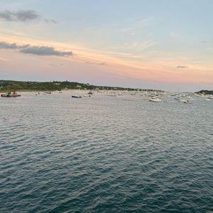 Meet your Posher, Alexandra